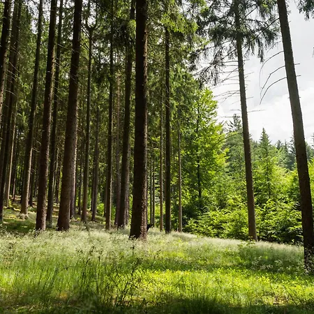 Apartment Forest Garden Family, Forest Garden Romance *